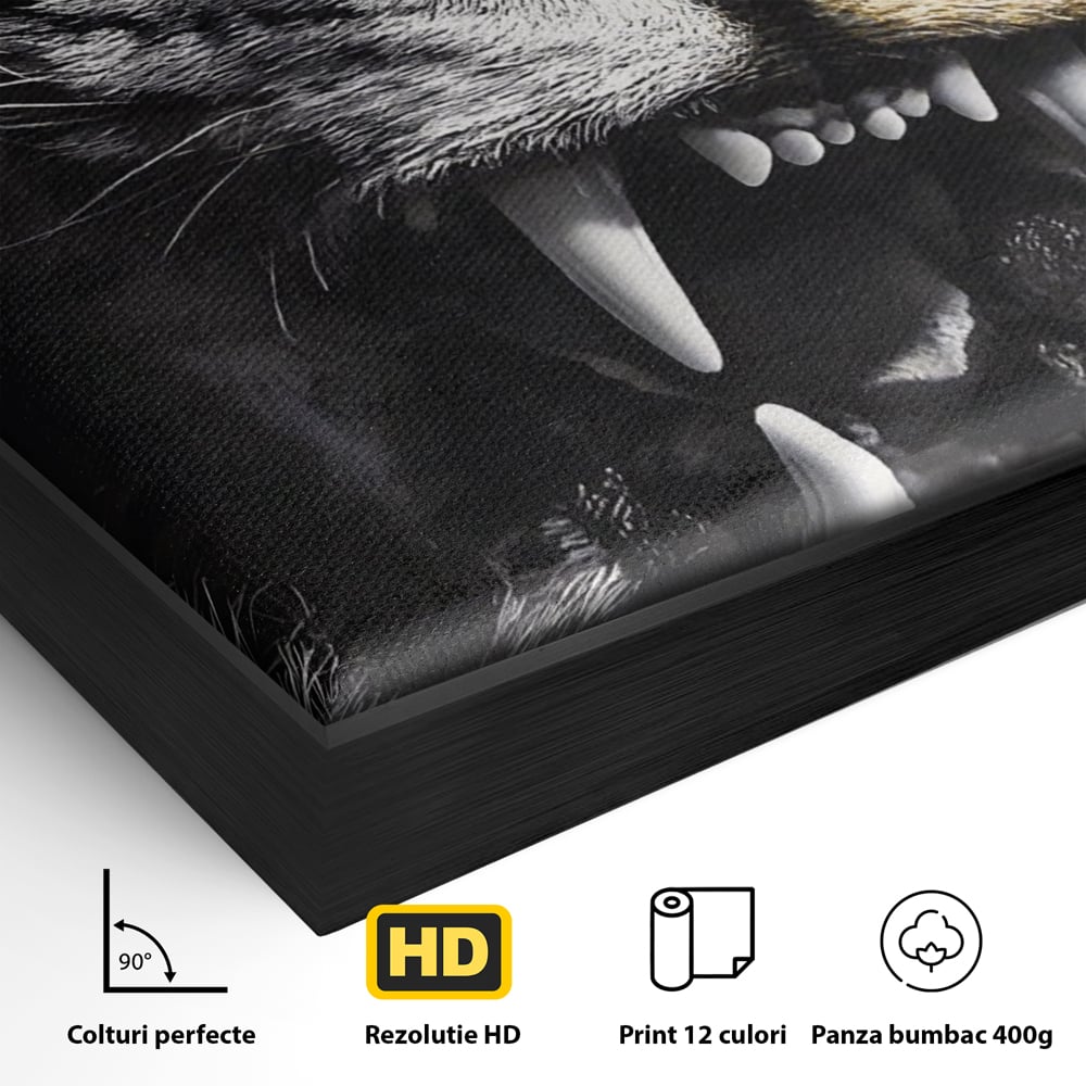 Detaliu al suprafetei: tablou canvas cu leu fioros, in rama de aluminiu negru
